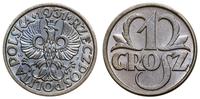 1 grosz 1931, Warszawa, patyna, piękny, Parchimo