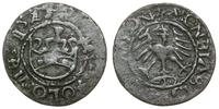 półgrosz - falsyfikat z epoki 1524, miedź, 17.6 