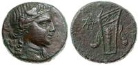 brąz ok. 79-65 pne, Aw: Głowa Dionizosa w prawo,