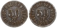50 fenigów 1918, żelazo 23.9 mm, 5.16 g, spatyno
