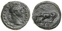 semis po 109, Rzym, Aw: Głowa cesarza w wieńcu l