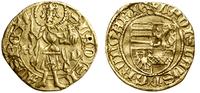 Węgry, goldgulden, bez daty (1454) K-P