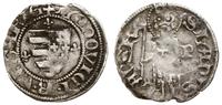 denar 1366, Buda, Aw: Tarcza andegaweńska, wokół