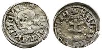 denar 1358–1366, Aw: Głowa Saracena w lewo, + MO