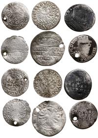 zestaw 6 monet, grosz Zygmunta Starego 1529, pół