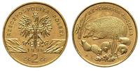 2 złote 1996, Warszawa, Jeż, nordic gold  , Parc