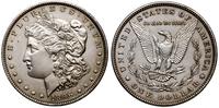 Stany Zjednoczone Ameryki (USA), dolar, 1896