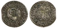 szeląg 1592, Malbork, moneta z końcówki blaszki,