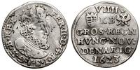 9 denarów (grosz) 1623 KB, Kremnica, moneta podg