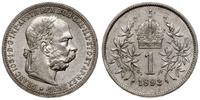 1 korona 1893, Wiedeń, mikroryski z obiegu, pięk