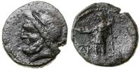 brąz po 254 pne, Aw: Głowa Zeusa w lewo, Rw: Żoł
