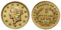 Stany Zjednoczone Ameryki (USA), fałszerstwo monety o nominale 1 dolar, 1853