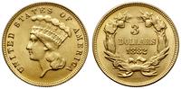 Stany Zjednoczone Ameryki (USA), fałszerstwo monety o nominale 3 dolary, 1882