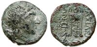 brąz 261–246 pne, Sardes, Aw: Głowa Apollina w p