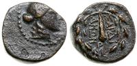 brąz 188–133 pne, Sardeis, Aw: Głowa Apollina w 