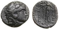 brąz IV–III w. pne, Aw: Głowa Heraklesa w prawo,