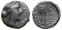 Grecja i posthellenistyczne, brąz, ok. 187–31 pne