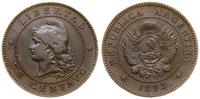 1 centavo 1893, Buenos Aires, patyna, KM 32