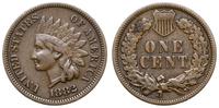 1 cent 1882, Filadelfia, typ Indian Head, brąz, 