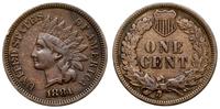 1 cent 1881, Filadelfia, typ Indian Head, brąz, 