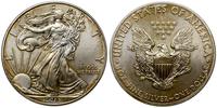 1 dolar 2013, West Point, typ Walking Liberty, s
