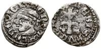 denar 1358–1366, Aw: Głowa Saracena w lewo, + MO