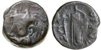 brąz ok. 310–280 pne, Aw: Głowa Borystenesa (uos