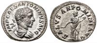 denar 218–222, Rzym, Aw: Popiersie cesarza w pra