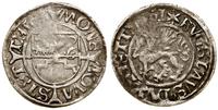 szeląg 1501, Szczecin, moneta wytrawiona, Olding