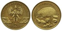 2 złote 1996, Warszawa, Jeż, nordic gold, Parchi