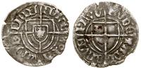 szeląg 1422–1425, Toruń, Aw: Tarcza Wielkiego Mi