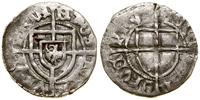 szeląg 1426–1436, Toruń, Aw: Tarcza Wielkiego Mi