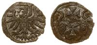denar 1555, Elbląg, patyna, moneta w bardzo ładn