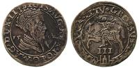 trojak ze słabego srebra 1562, Wilno, uszkodzeni