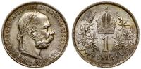 1 korona 1893, Wiedeń, patyna, Herinek 786