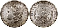 dolar 1881 S, San Francisco, typ Morgan, srebro,