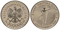 300000 złotych 1993, Warszawa, PRÓBA-NIKIEL Zimo