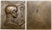 Austria, medal 50 lat Wiedeńskiego Towarzystwa Artystycznego, 1911