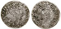 grosz 1629, Elbląg, nieco rzadsza odmiana z pełn