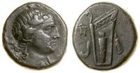 brąz ok. 79–65 pne, Aw: Głowa Dionizosa w prawo,