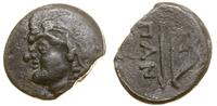 Grecja i posthellenistyczne, brąz, ok. 304–250 pne