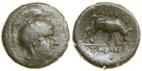 Grecja i posthellenistyczne, brąz, 148–147 pne