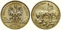 2 złote 1999, Warszawa, Wilk - Canis lupus, Nord