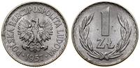 1 złoty 1957, Warszawa, aluminium, uderzenia w p