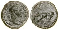semis 109, Rzym, Aw: Popiersie cesarza w wieńcu 
