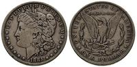 dolar 1885, Filadelfia, patyna