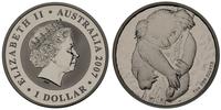 1 dolar 2007, Koala, wybite stemplem lustrzanym,