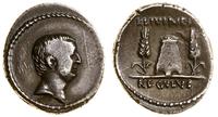 denar 42 pne, Rzym, Aw: Głowa Livineiusa Regulus
