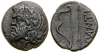 brąz ok. 340–325 pne, Aw: Głowa Satyra w lewo, R