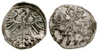 denar 1557, Wilno, minimalnie podgięta, Cesnulis